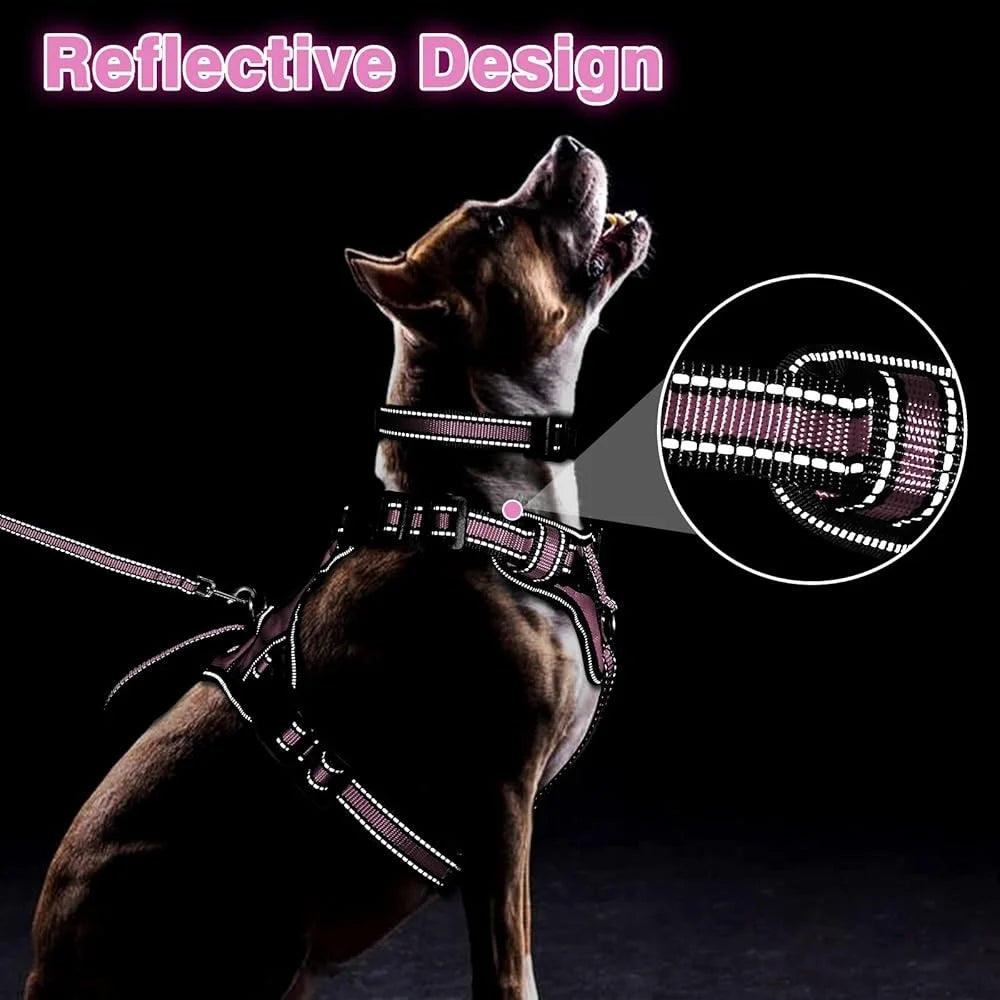 Reflective No Pull Pet Harness Leash Set for Dogs of All Sizes