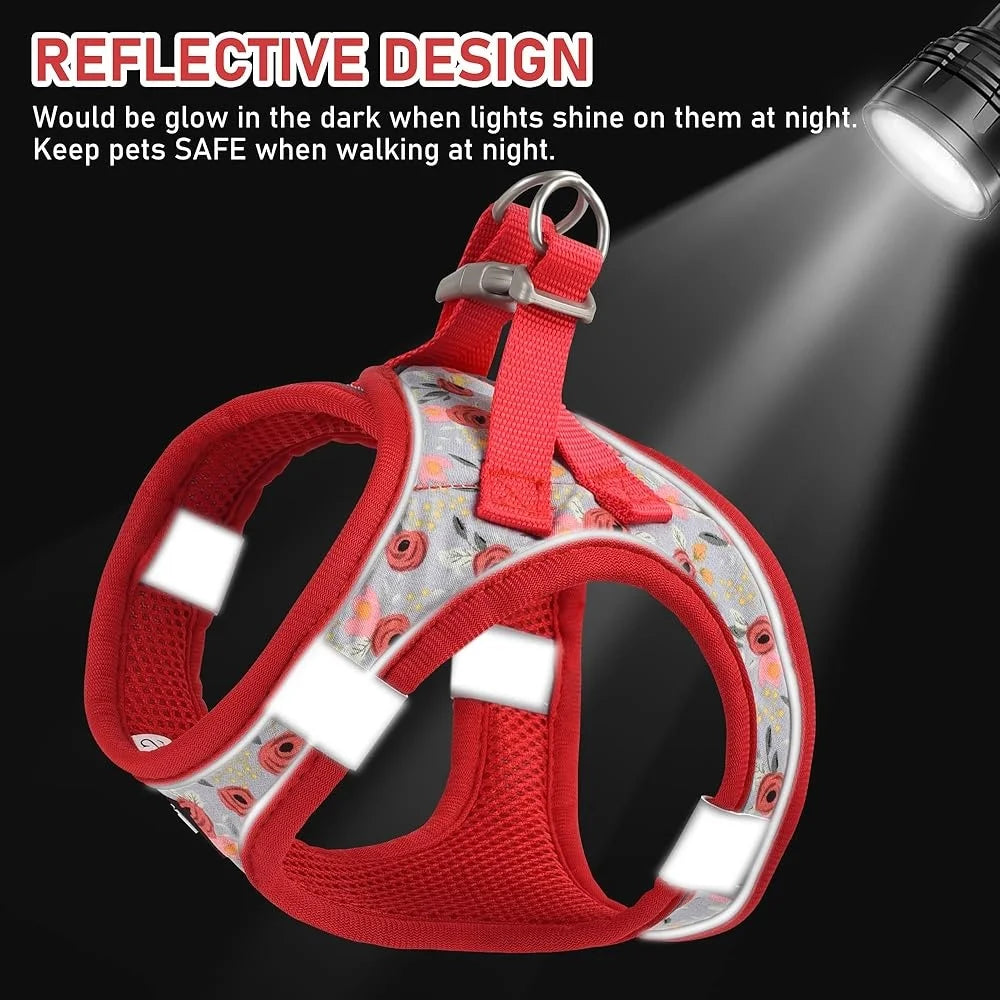 Adjustable No Pull Dog Harness Collar Leash Set with ID Tag