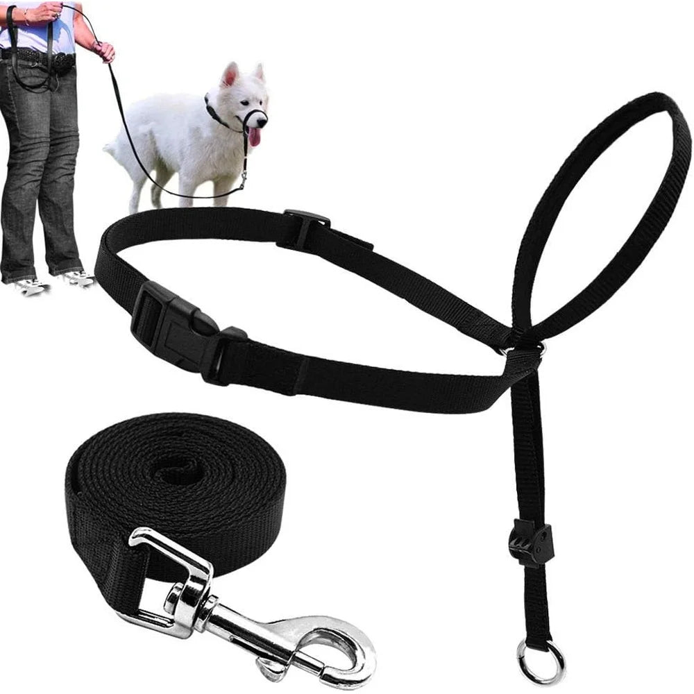 Adjustable Dog Head Collar Halter Gentle Control with Leash
