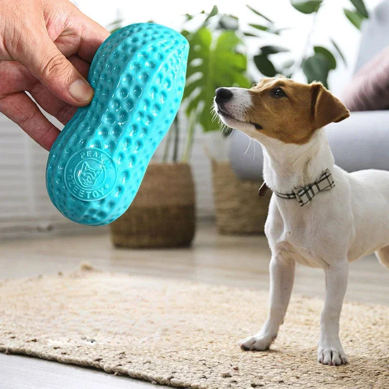 Interactive Dog Chew Toy Stick for Teeth Training and Fun