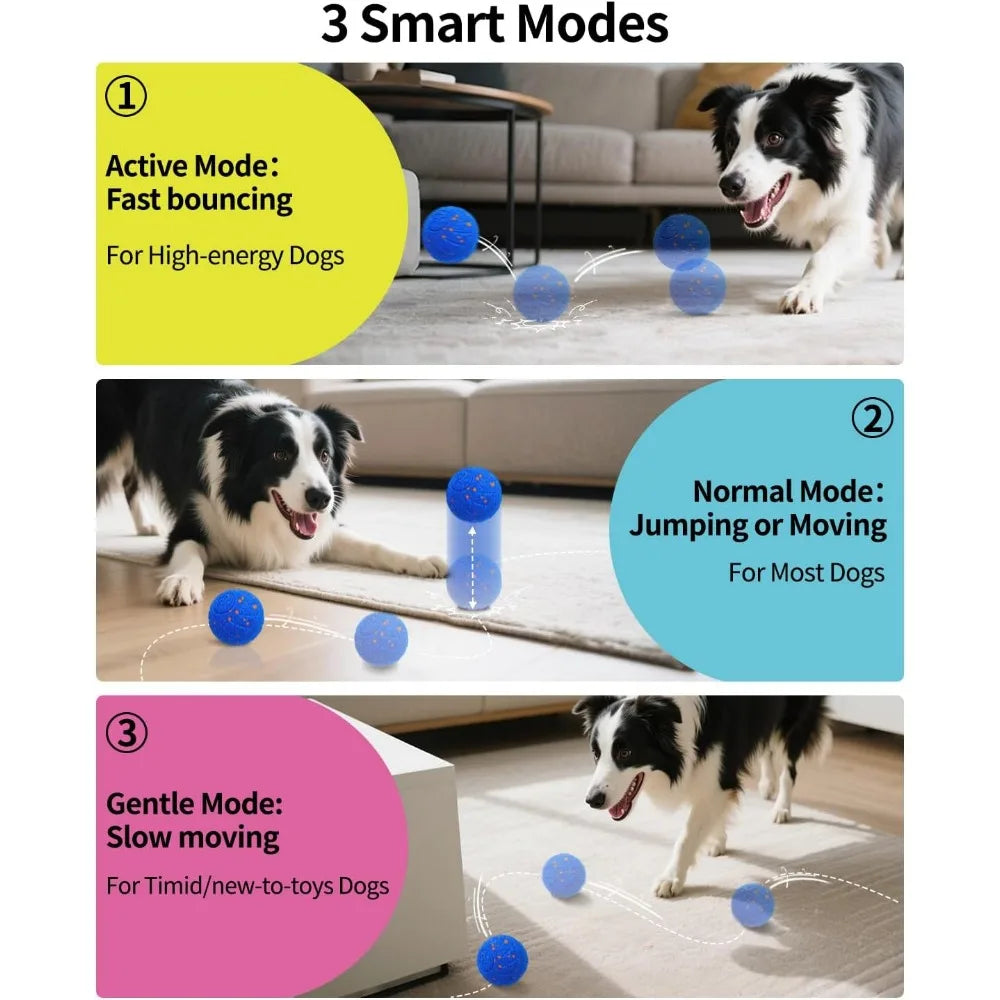 SCHITEC Interactive Dog Ball Toy With Smart Motion Modes