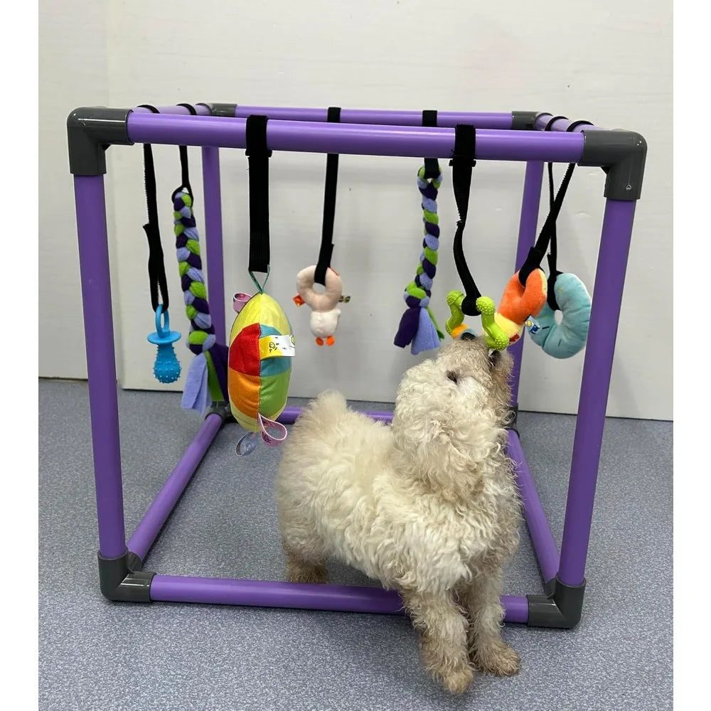 Hign Concerned Puppy Play Gym With Eight Hanging Toys