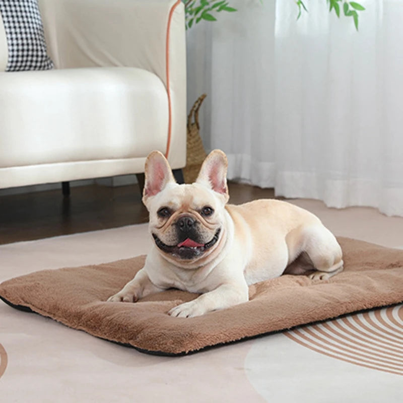 Heated Plush Dog Bed Mat for Cats and Dogs Comfortable Blanket