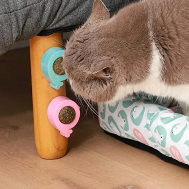 Catnip Ball Licking Toy for Cats Rotatable Wall Treats