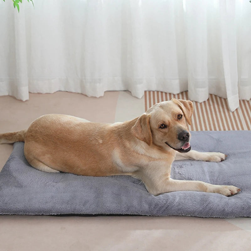 Heated Plush Dog Bed Mat for Cats and Dogs Comfortable Blanket