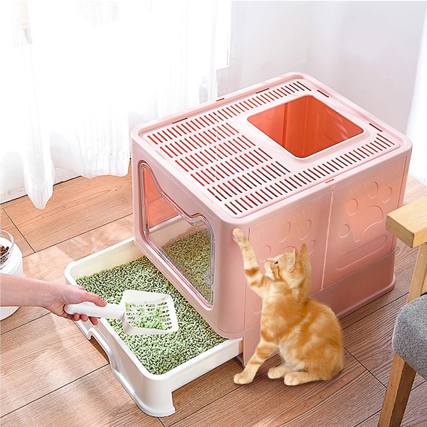 Bingopaw Cat Litter Box with Lid Enclosed Top Entry