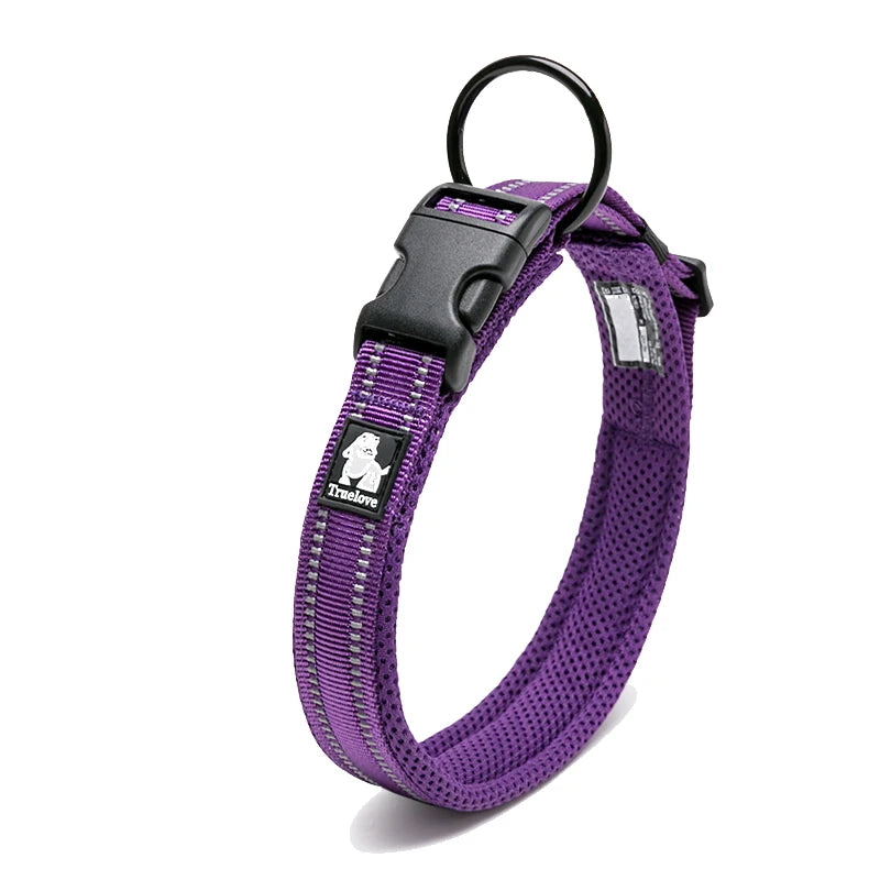Winhyepet Dog Walking Collar Padded Comfort Nylon Travel