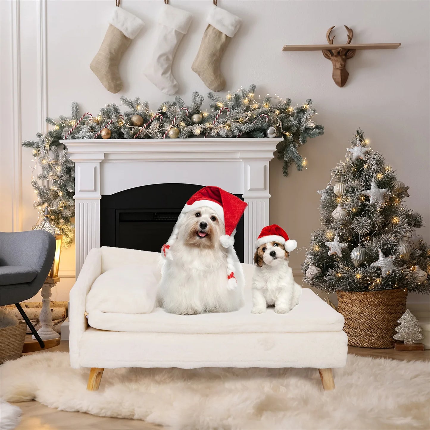 Elevated Nordic Pet Bed with Cozy Waterproof Pad for Small Dogs