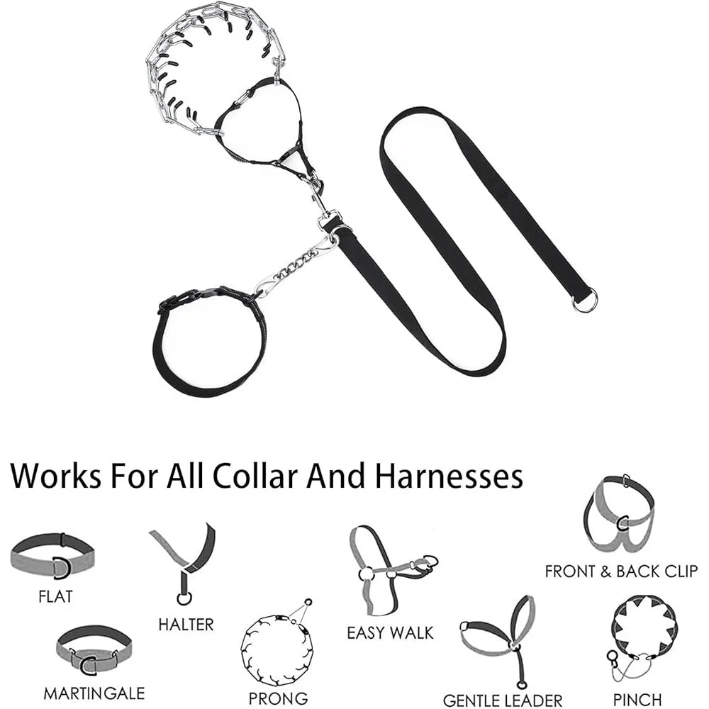 Stainless Steel Dog Collar Safety Clip 2 Pack for Escape Prevention