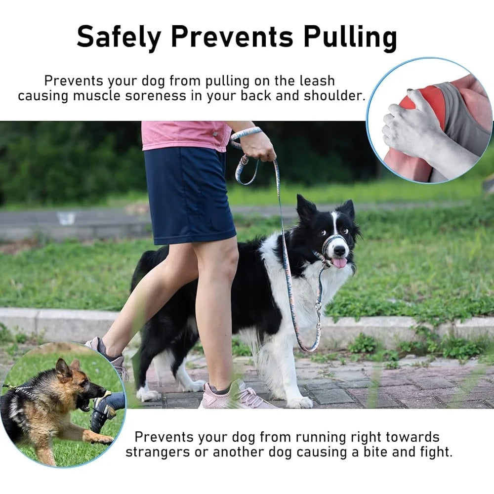 Dog Head Collar Anti Pulling Harness with Leash Adjustable Size
