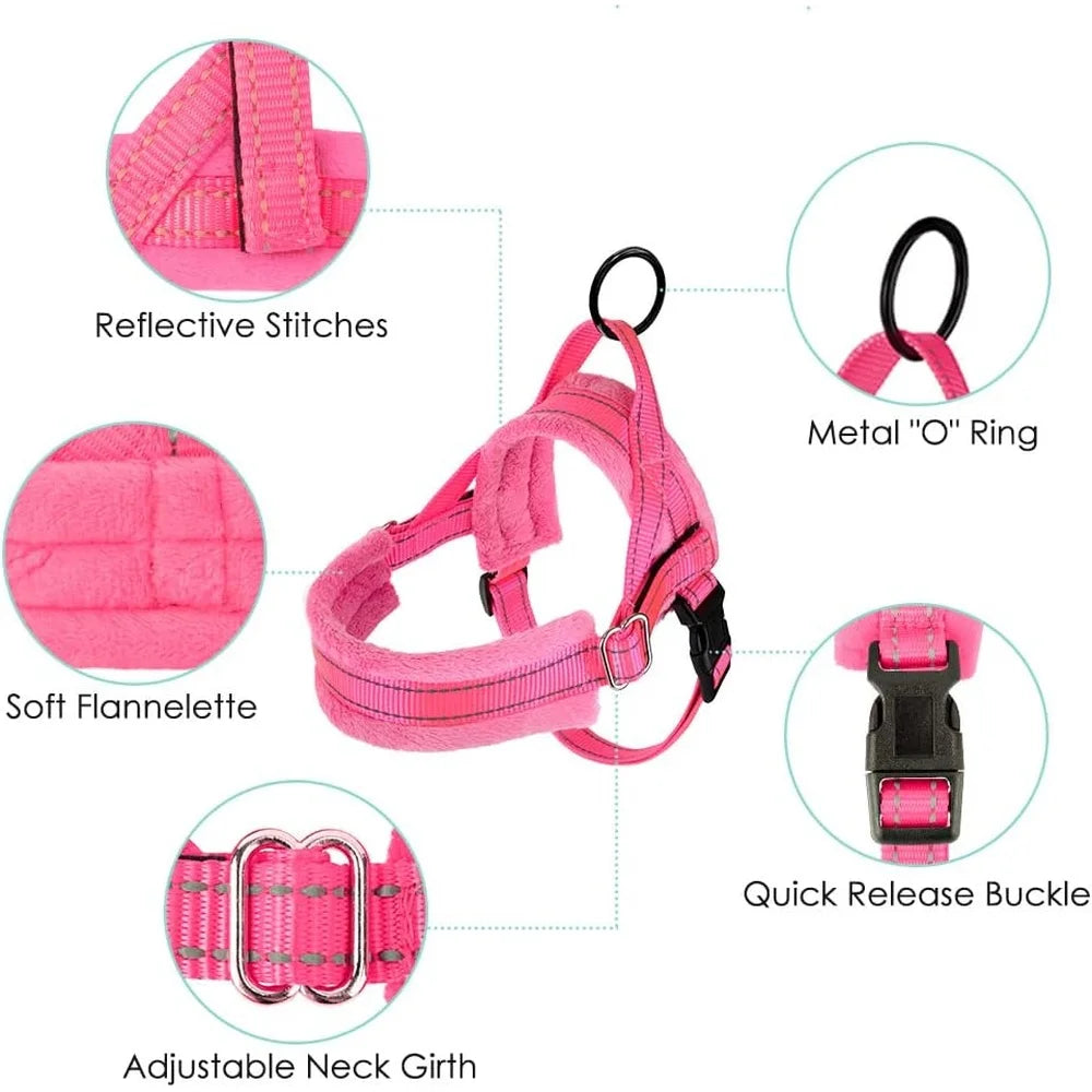 Soft Padded Adjustable Dog Harness Leash Set for Small Dogs