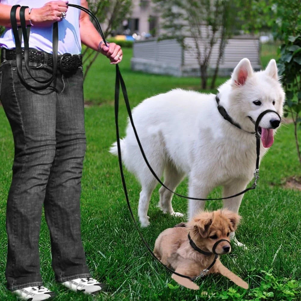 Adjustable Dog Head Collar Halter Gentle Control with Leash