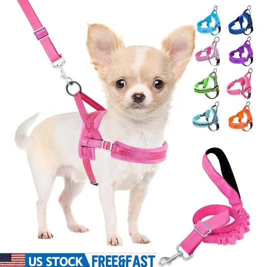Soft Padded Adjustable Dog Harness Leash Set for Small Dogs