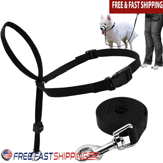 Adjustable Dog Head Collar Halter Gentle Control with Leash