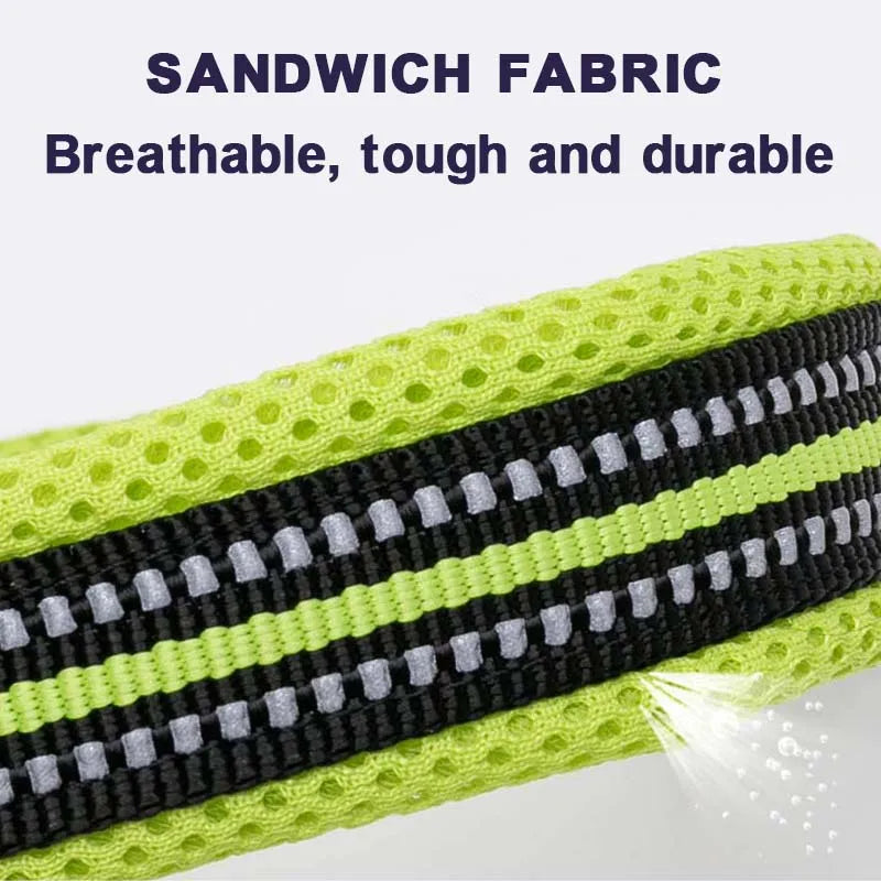 Winhyepet Dog Walking Collar Padded Comfort Nylon Travel