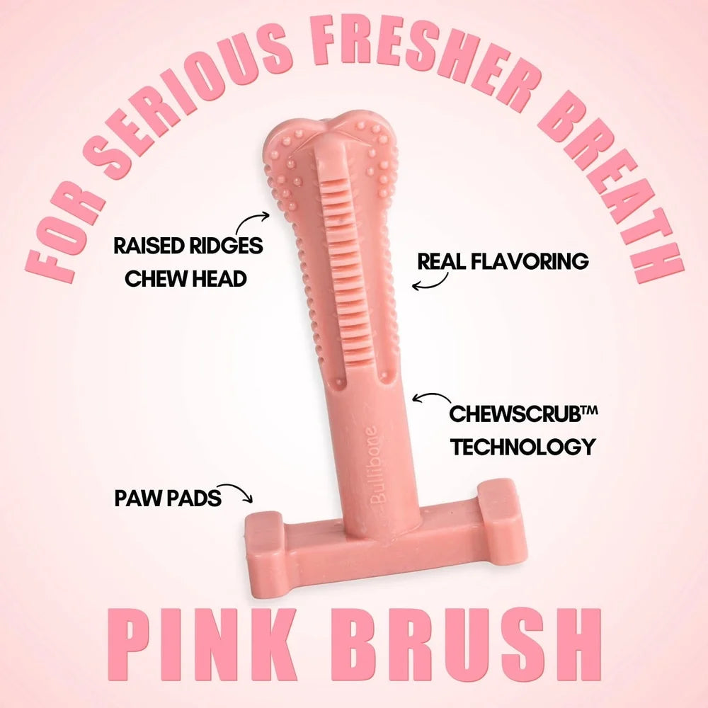 XMSJHign Concerned Peppermint Chew Dog Toys Nylon Dental