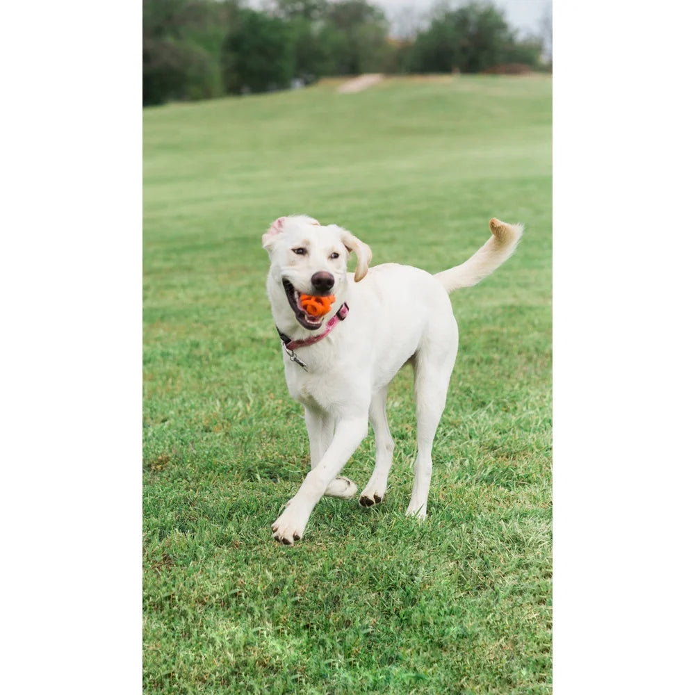 XMSJ High Performance Dog Fetch Ball Set of 2 Rubber
