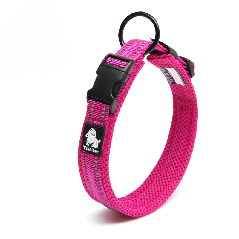 Winhyepet Dog Walking Collar Padded Comfort Nylon Travel