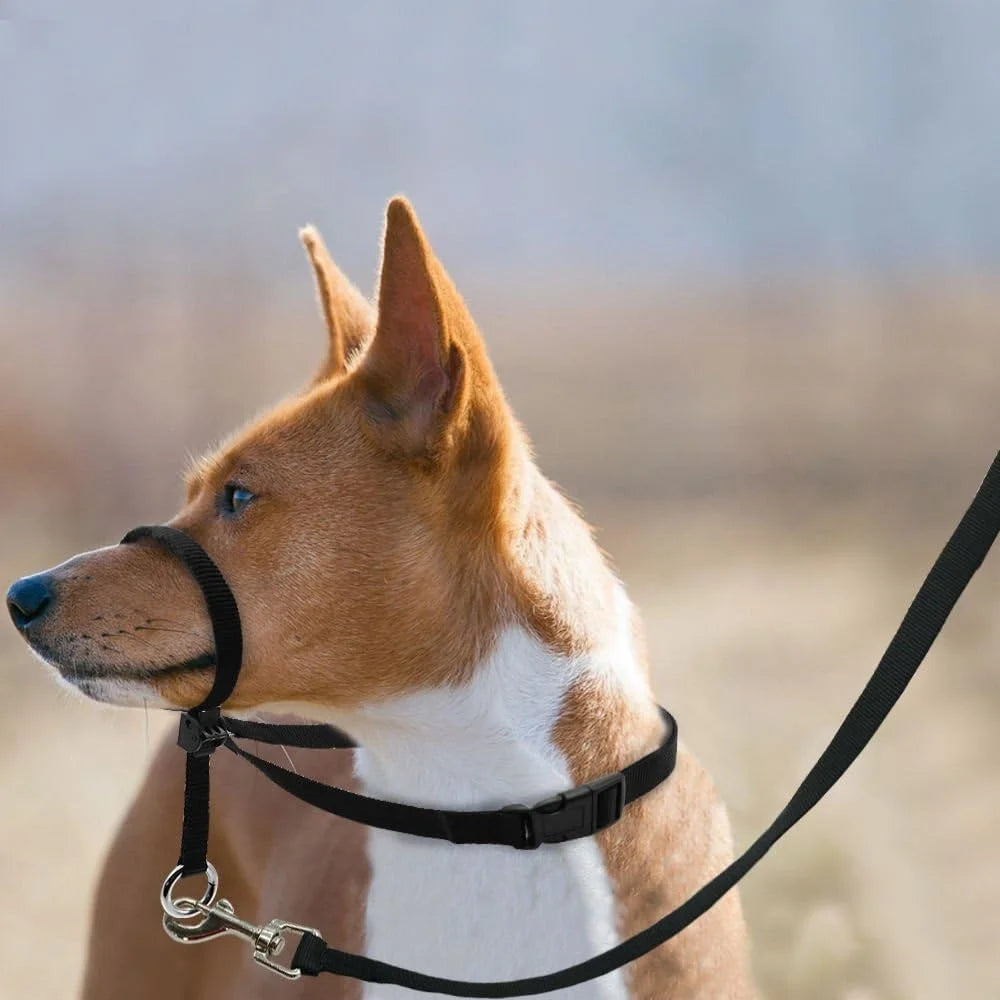 Adjustable Dog Head Collar Halter Gentle Control with Leash