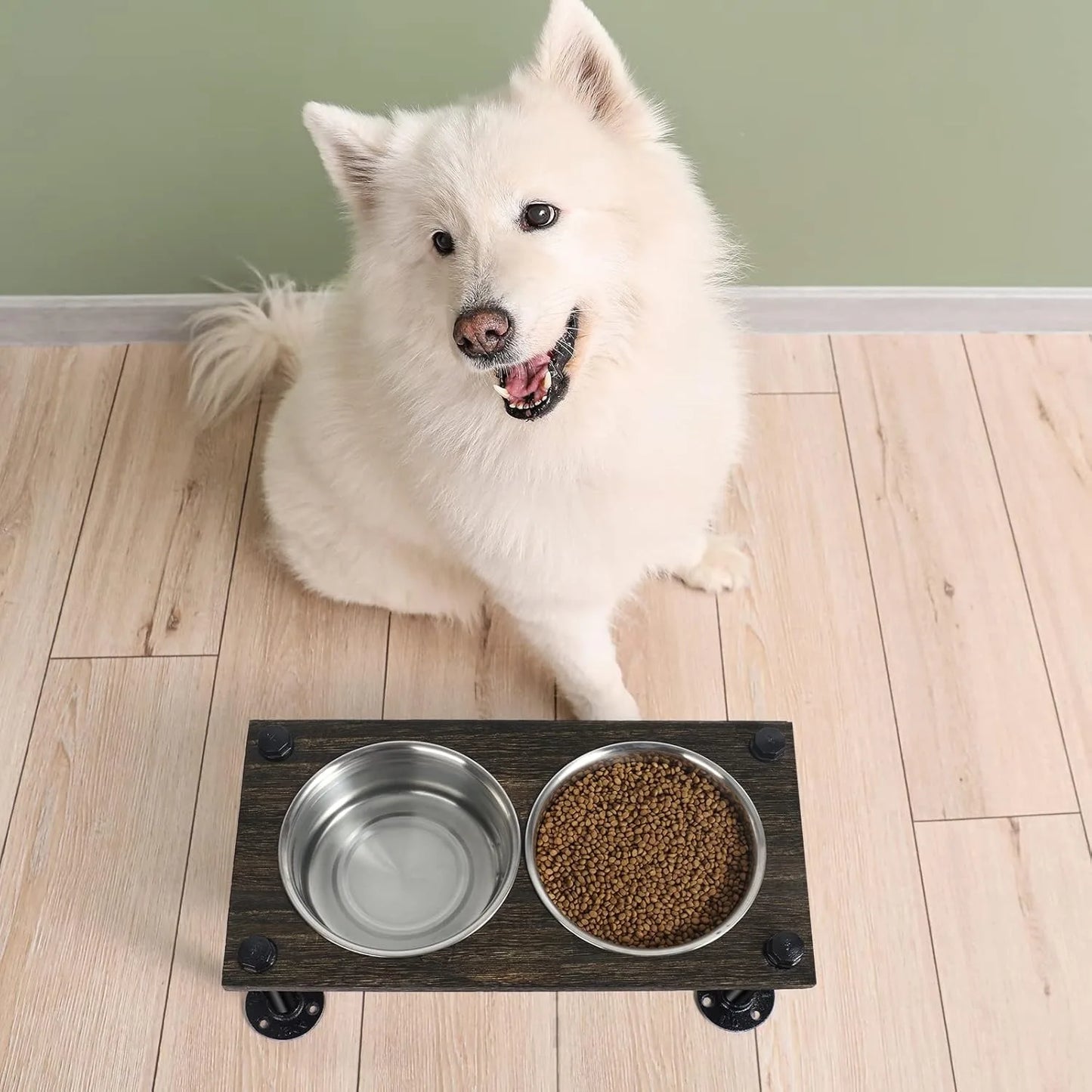Raised Dog Bowl Stand with Stainless Bowls and Waterproof Base
