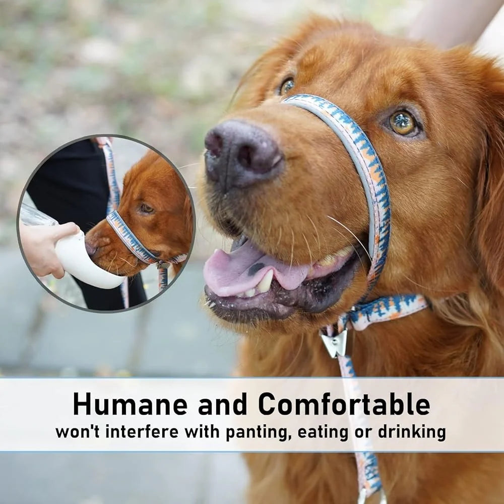 Dog Head Collar Anti Pulling Harness with Leash Adjustable Size