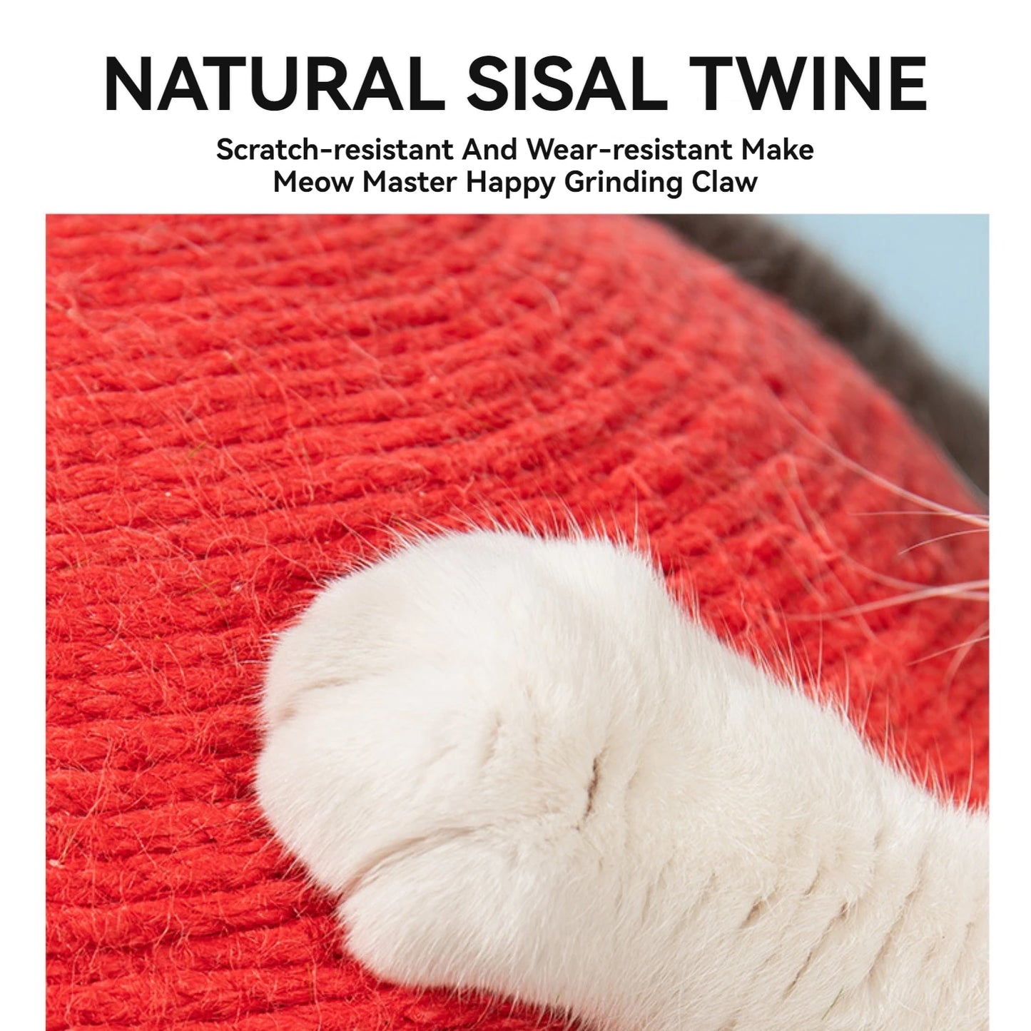 Red Cap Mushroom Cat Scratching Post Cute Indoor Cat Tower