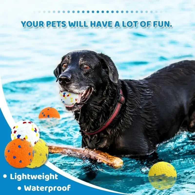 Vibrant Dog Toy Balls 2PK Bouncy Durable for Large Medium Dogs