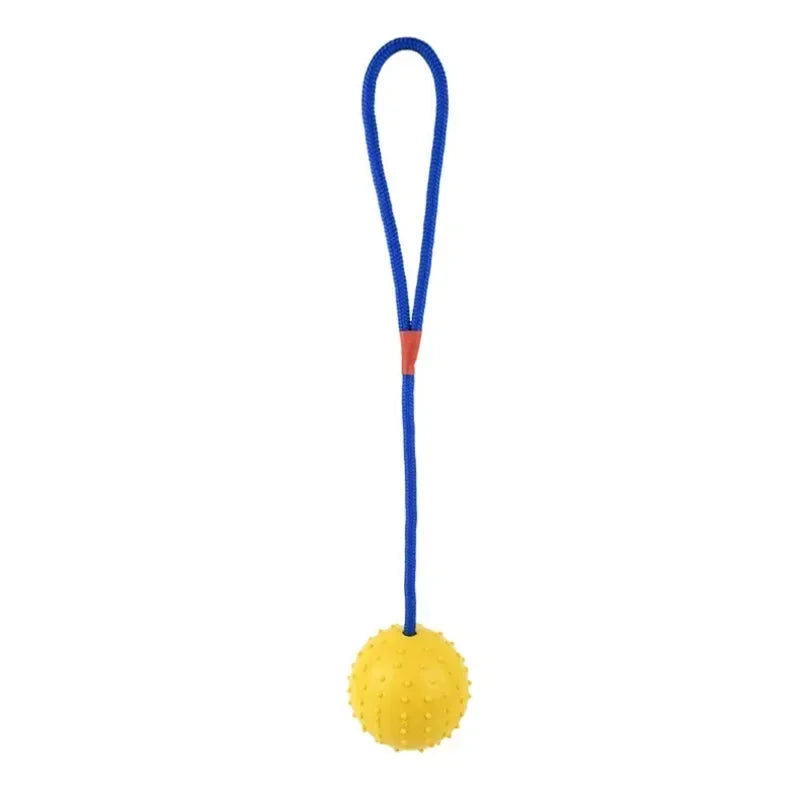 Rubber Interactive Dog Fetch Ball Toy with Rope for Training