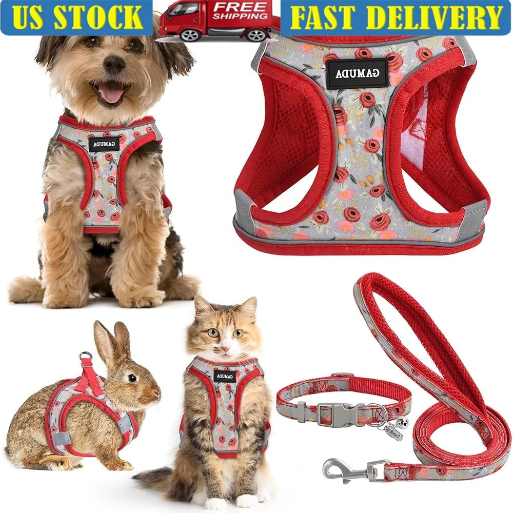 Adjustable No Pull Dog Harness Collar Leash Set with ID Tag