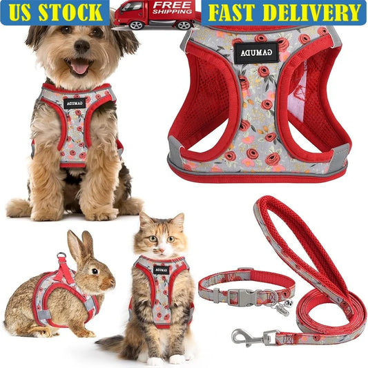 Adjustable No Pull Dog Harness Collar Leash Set with ID Tag
