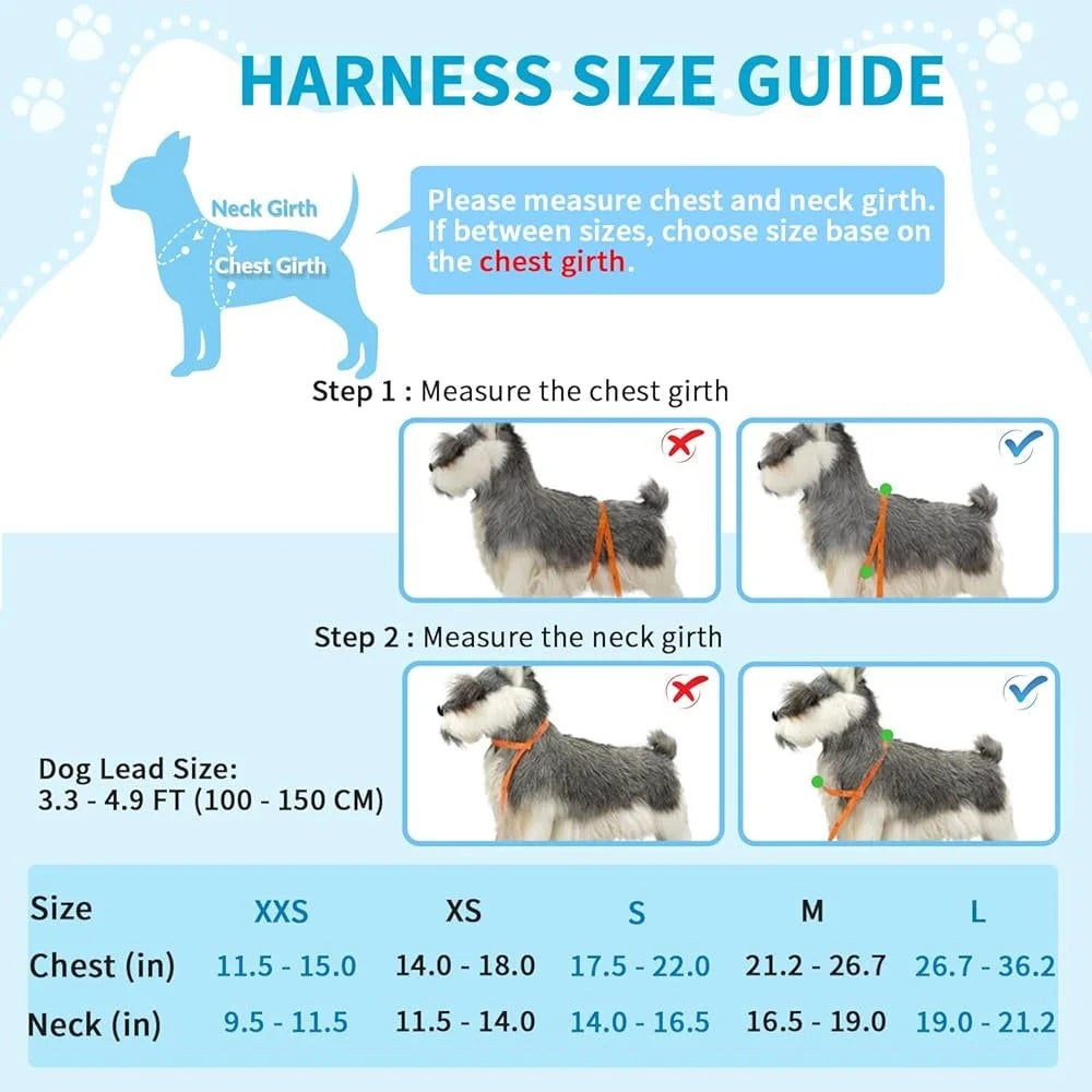 Soft Padded Adjustable Dog Harness Leash Set for Small Dogs