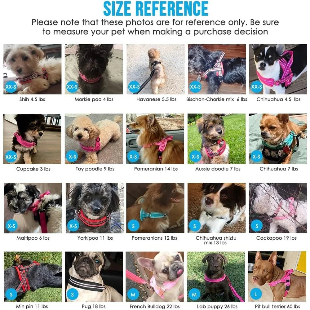Soft Padded Adjustable Dog Harness Leash Set for Small Dogs