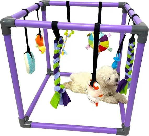 Hign Concerned Puppy Play Gym With Eight Hanging Toys