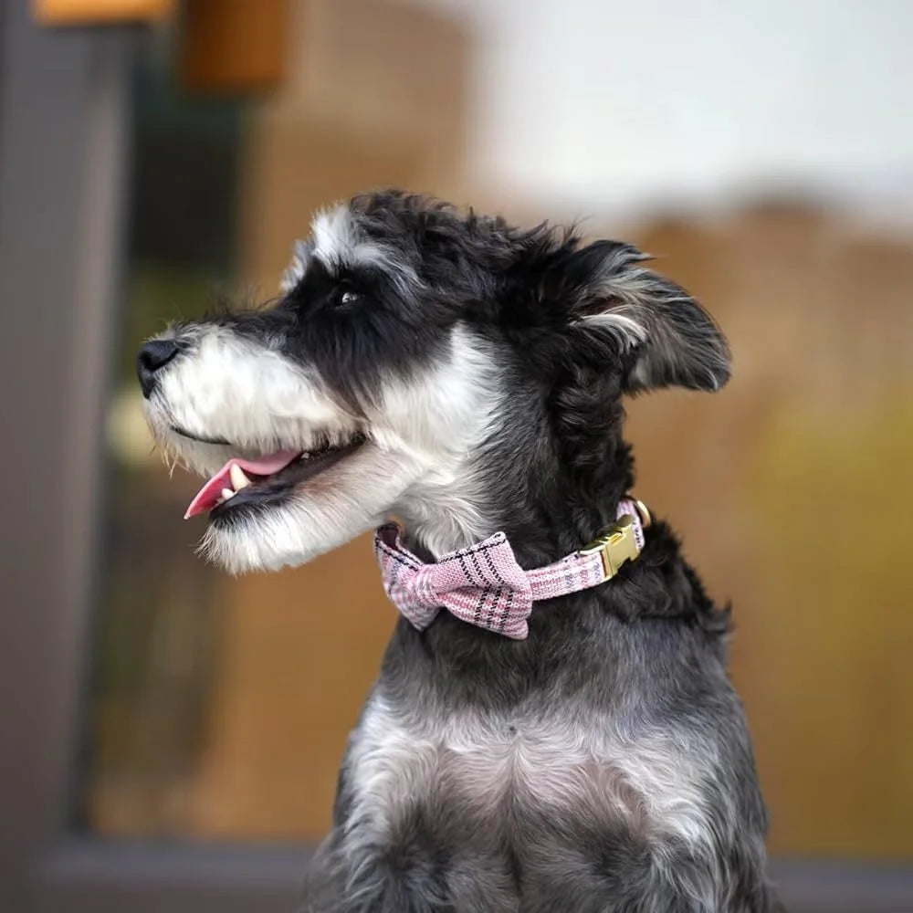 Cute Adjustable Plaid Dog Harness Collar Leash Set for XS Pets
