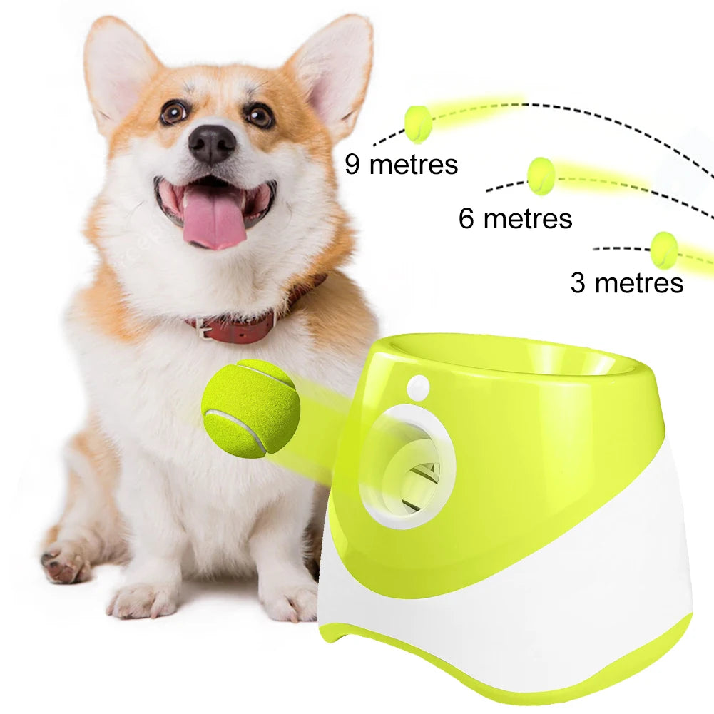 Automatic Dog Ball Thrower Launcher With 3 Tennis Balls Outdoor