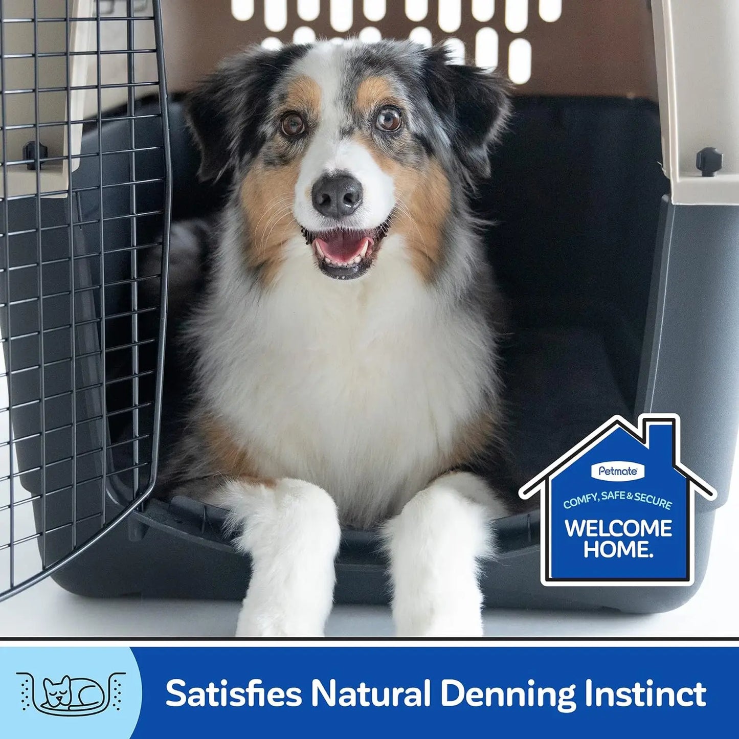 Vari Dog Kennel 40 Inch Portable Crate for Pets 70 to 90 Pounds