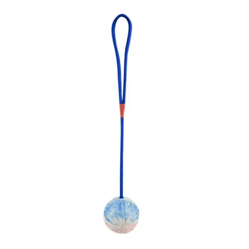 Rubber Interactive Dog Fetch Ball Toy with Rope for Training