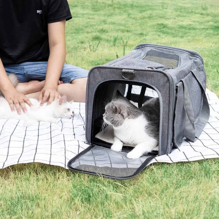 Hign-concerned Soft Sided Pet Carrier For Cats And Puppies