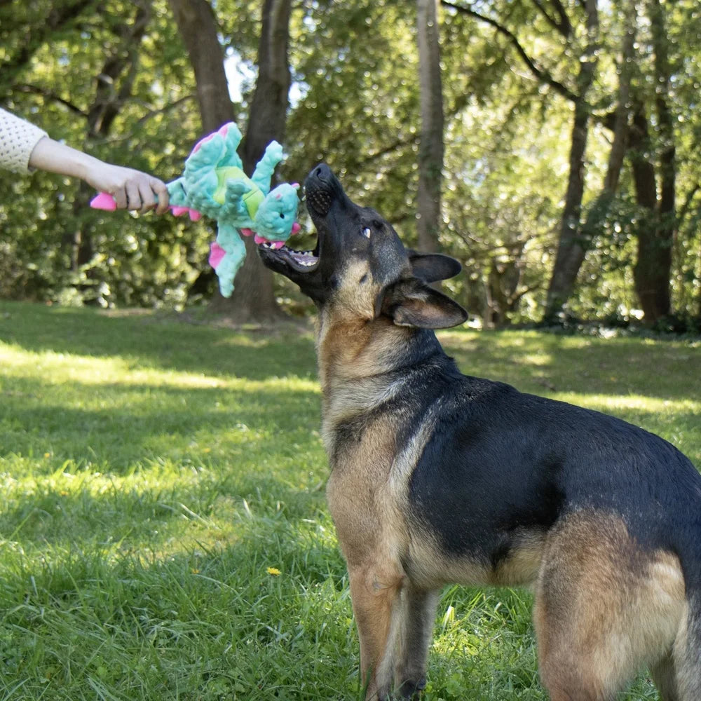 XMSJ Plush Dragon Dog Toy Chew Guard Squeaker Wings