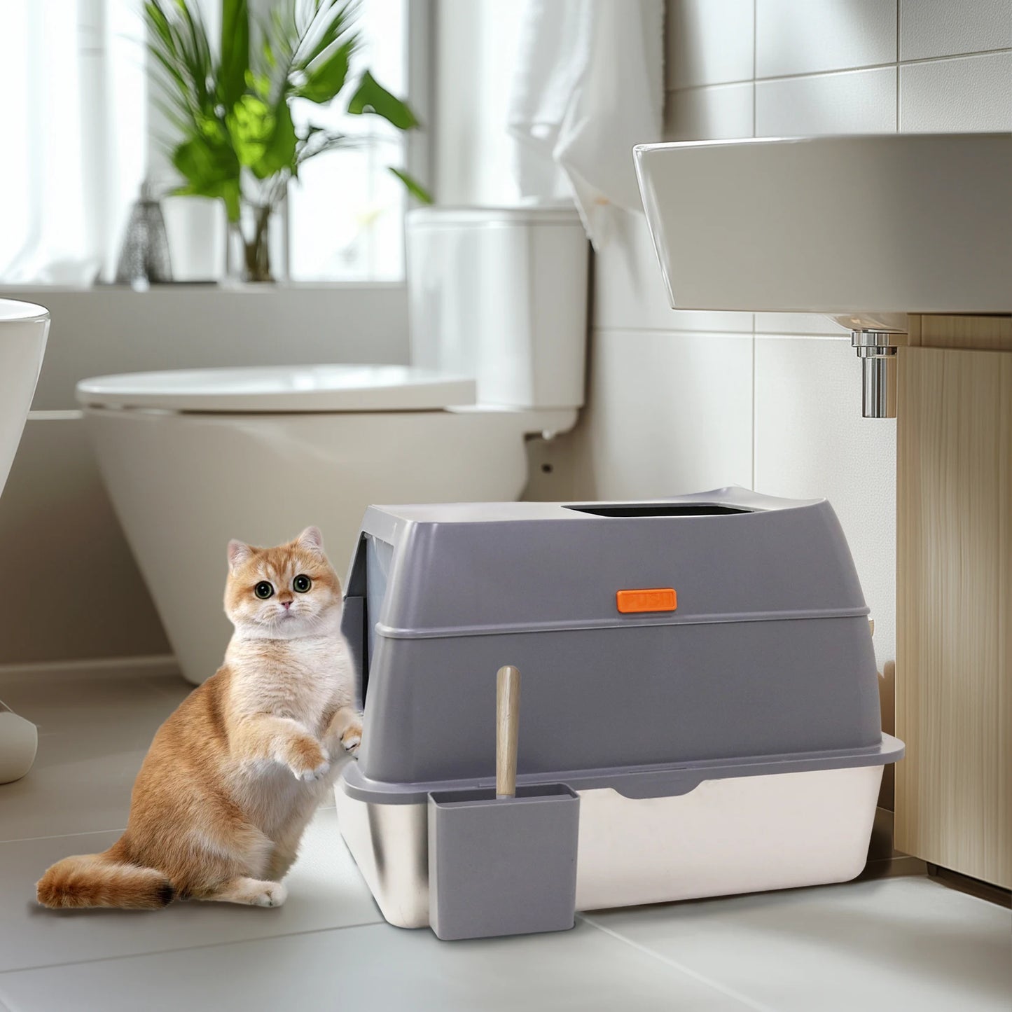 Bingopaw Cat Litter Box with Lid Enclosed Top Entry