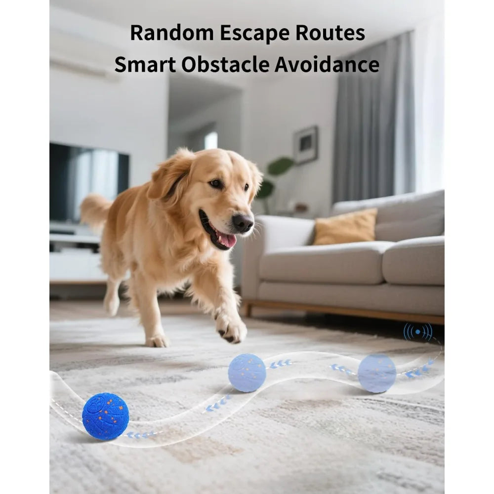 SCHITEC Interactive Dog Ball Toy With Smart Motion Modes