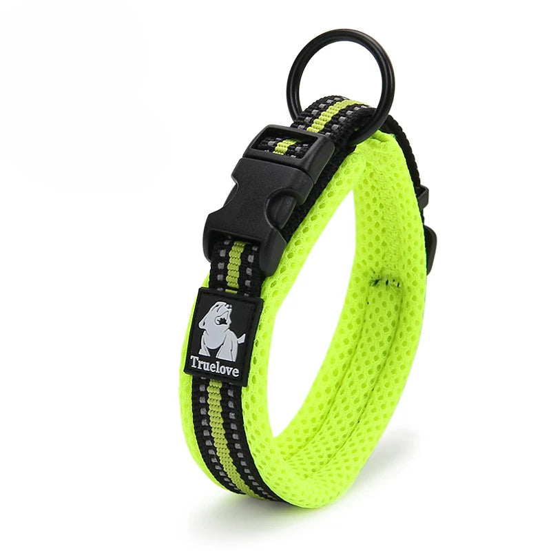Winhyepet Dog Walking Collar Padded Comfort Nylon Travel