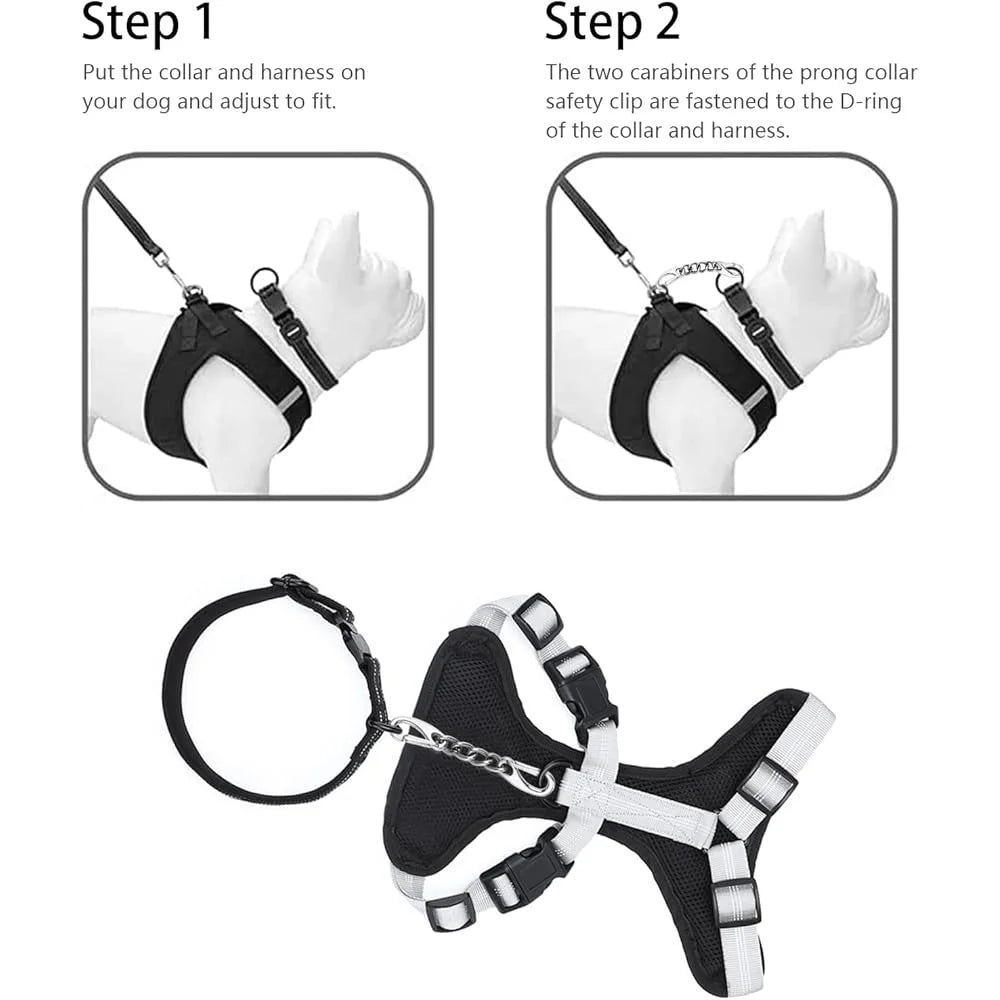 Stainless Steel Dog Collar Safety Clip 2 Pack for Escape Prevention