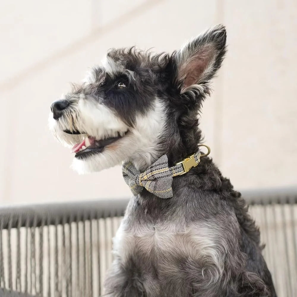 Cute Adjustable Plaid Dog Harness Set with Collar and Leash