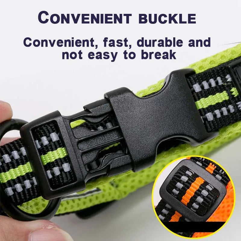 Winhyepet Dog Walking Collar Padded Comfort Nylon Travel