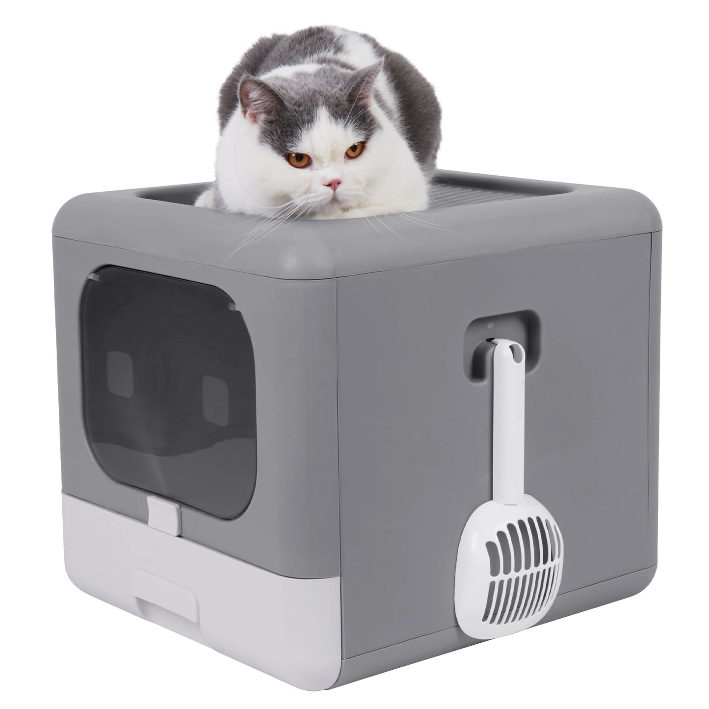 Bingopaw Cat Litter Box with Lid Enclosed Top Entry