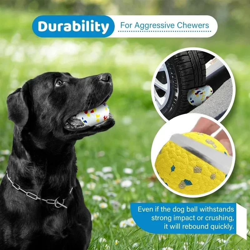 Vibrant Dog Toy Balls 2PK Bouncy Durable for Large Medium Dogs