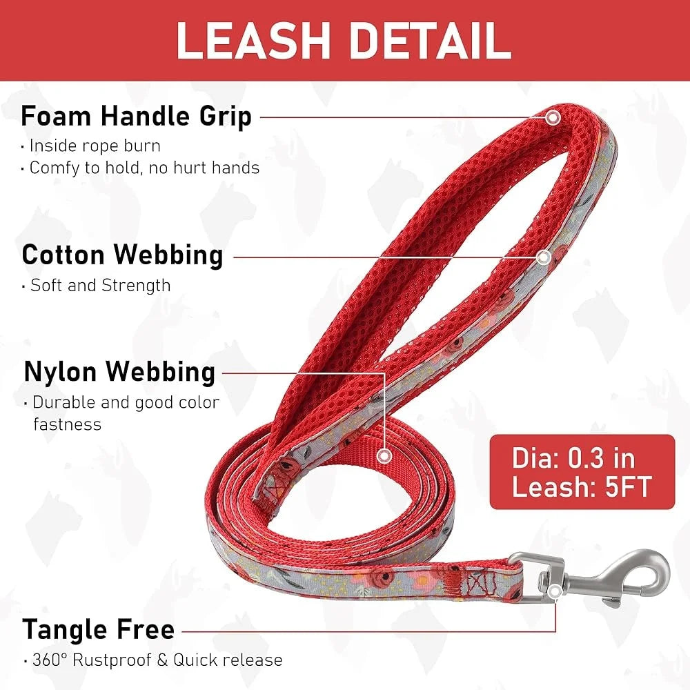Adjustable No Pull Dog Harness Collar Leash Set with ID Tag