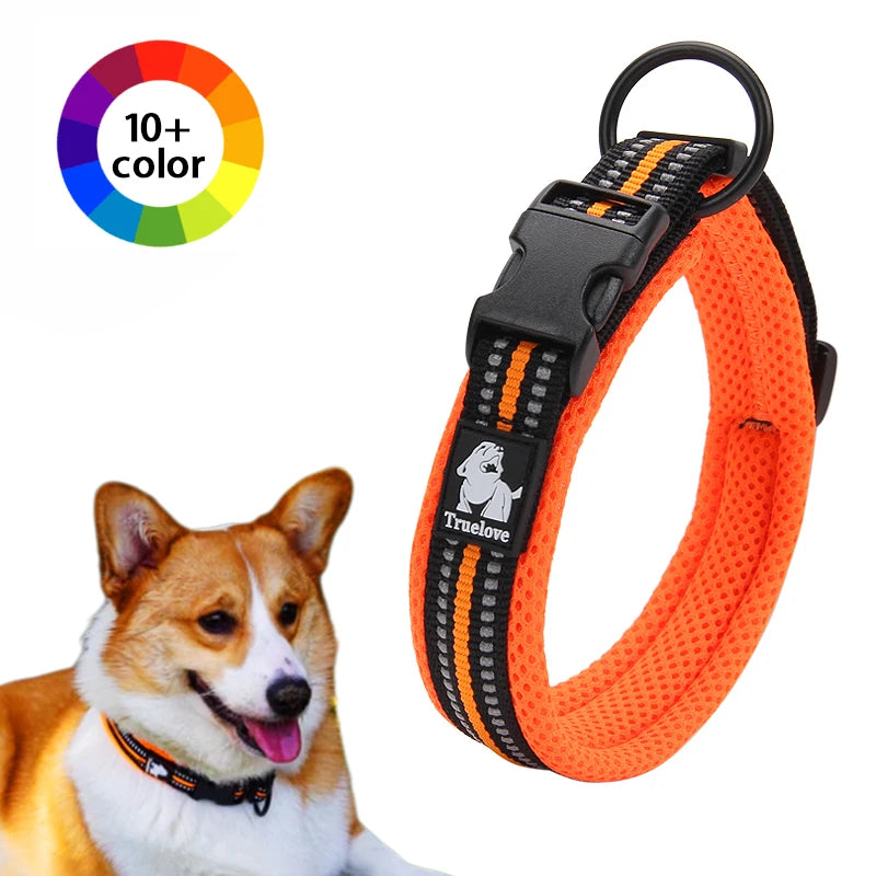 Winhyepet Dog Walking Collar Padded Comfort Nylon Travel