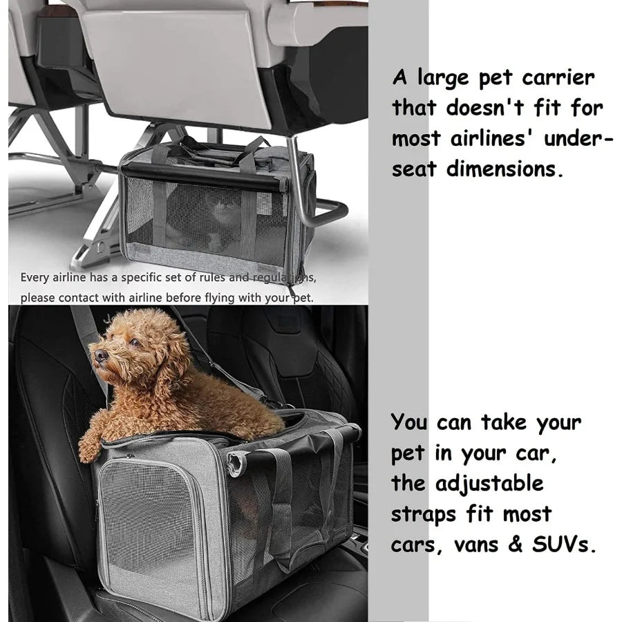 Hign-concerned Soft Sided Pet Carrier For Cats And Puppies